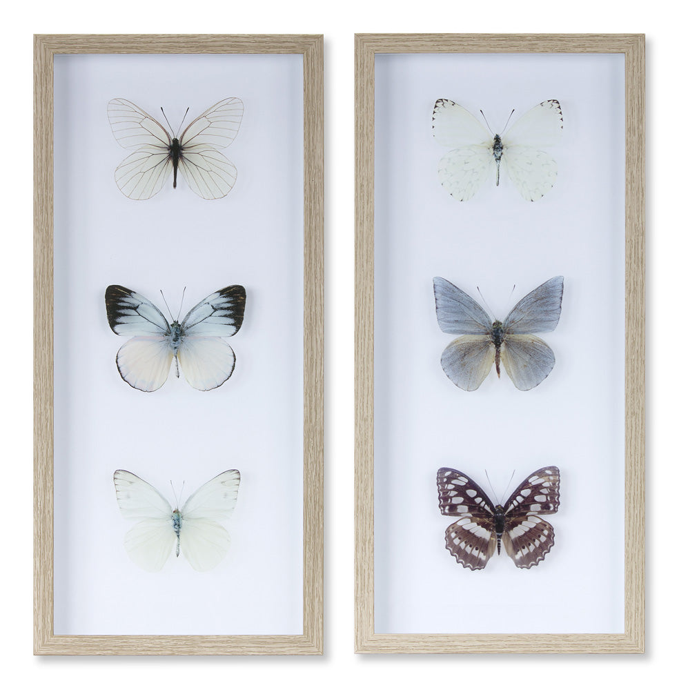 Butterfly Print (Set of 2) 9.75" x 20.75"H Plastic/Paper