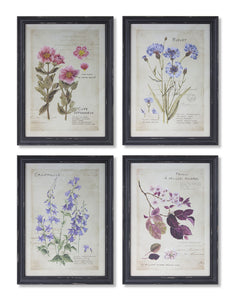 Framed Floral Print (Set of 4) 13.75" x 19"H MDF/Paper