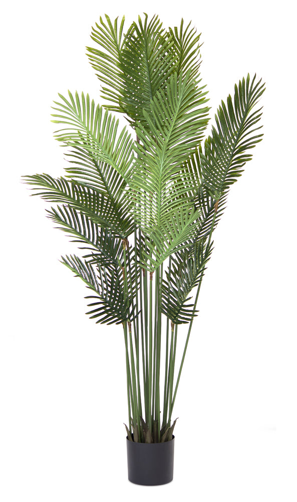 Palm Tree Potted 6'H Polyester