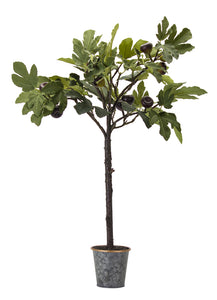 Fig Plant Potted 35"H Polyester