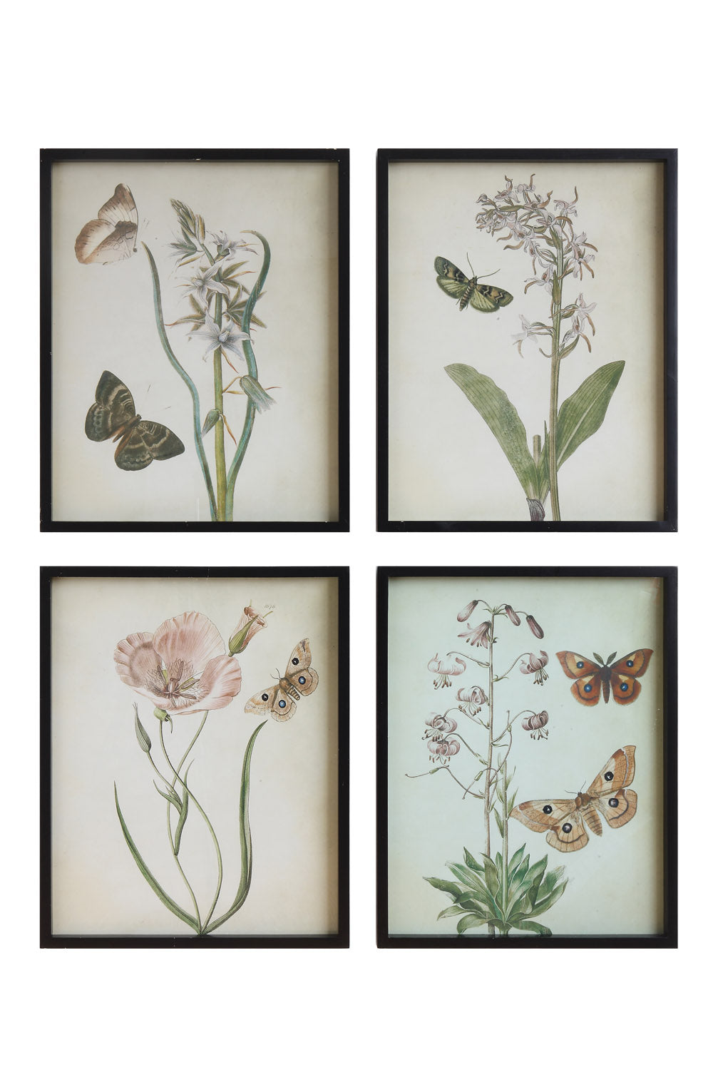19"W x 23-1/2"H Wood Framed Wall Décor w/ Flowers & Butterflies, 4 Styles