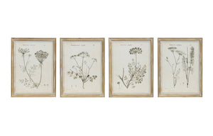 17-3/4"W x 23-1/2"H Wood Framed Wall Décor w/ Vintage Reproduction Botanical Print, 4 Styles, Truck Ship