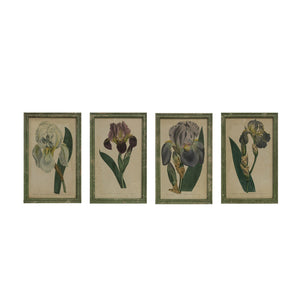 13-1/2"W x 21-1/4"H Wood Framed Wall Décor w/ Vintage Reproduction Iris Image, Distressed Green Finish, 4 Styles